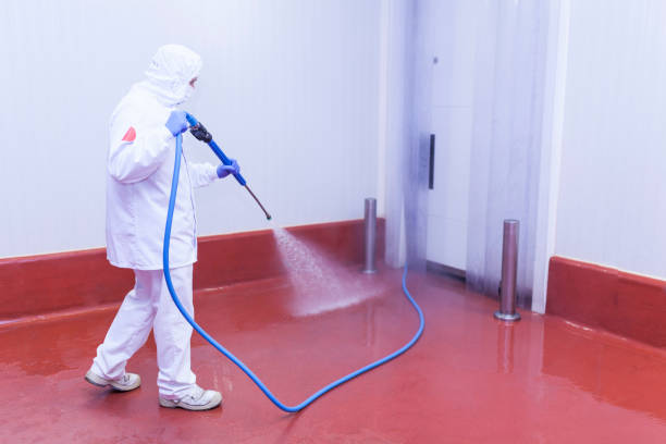 Best Solar Panel Cleaning  in North Brooksville, FL